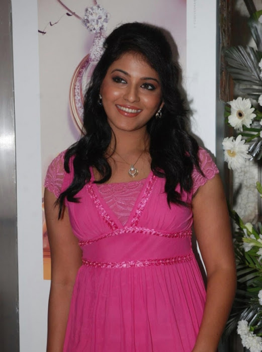 heroine anjali at prince forevermark launches actress pics